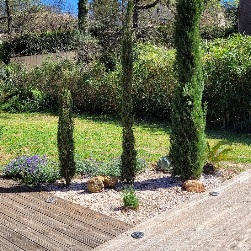 Piscine et jardin méditerranéen: Cyprès, agave et terrasse bois. Piscine contemporaine à terrasse bois, bordée de cyprès et d'agaves. Vue panoramique sur la forêt méditerranéenne et pergola.