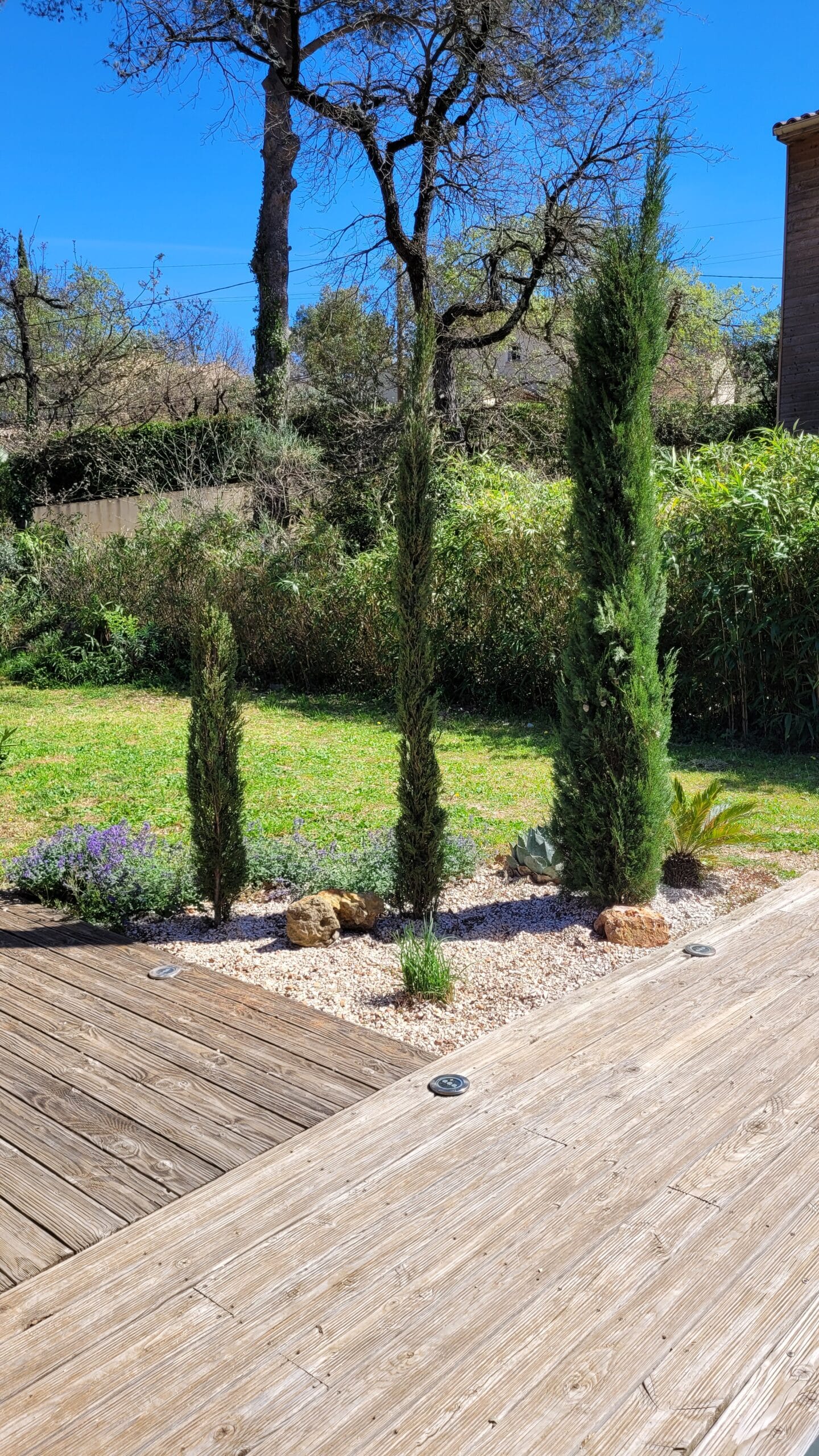 Piscine et jardin méditerranéen: Cyprès, agave et terrasse bois. Piscine contemporaine à terrasse bois, bordée de cyprès et d'agaves. Vue panoramique sur la forêt méditerranéenne et pergola.