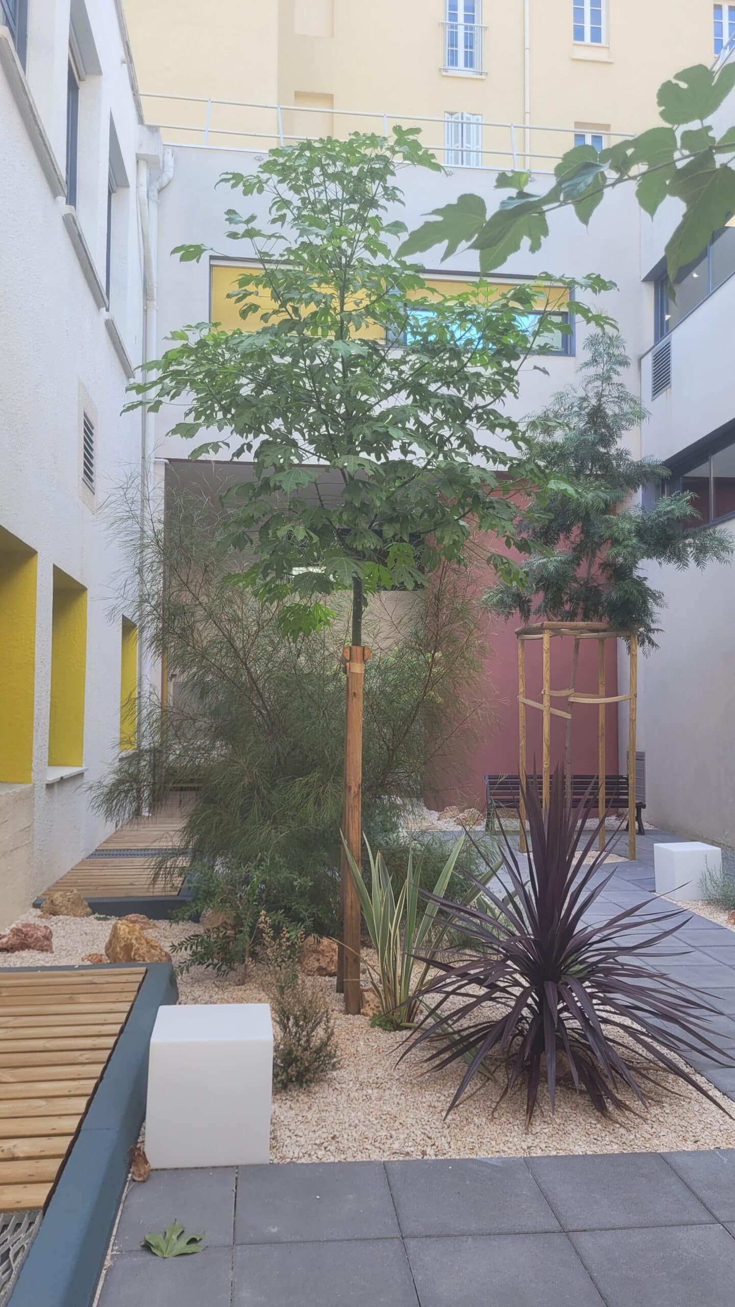 Cour intérieure moderne avec jardin paysager, gravier blanc, plantes exotiques et mobilier urbain design épuré.