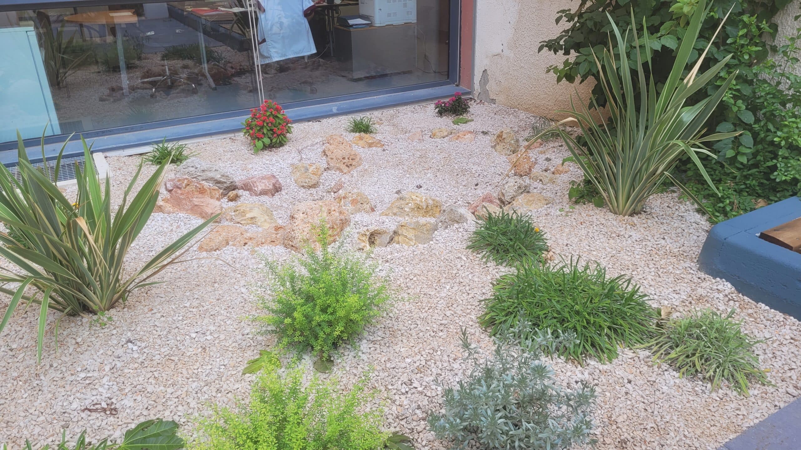 Aménagement de jardin sec avec gravier blanc, plantes variées et rocailles devant une baie vitrée.